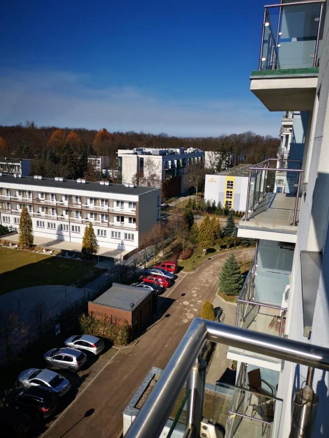 Appartamento Prywatny Salon Z Aneksem Kuchennym I Sypialnia W Diva Kołobrzeg