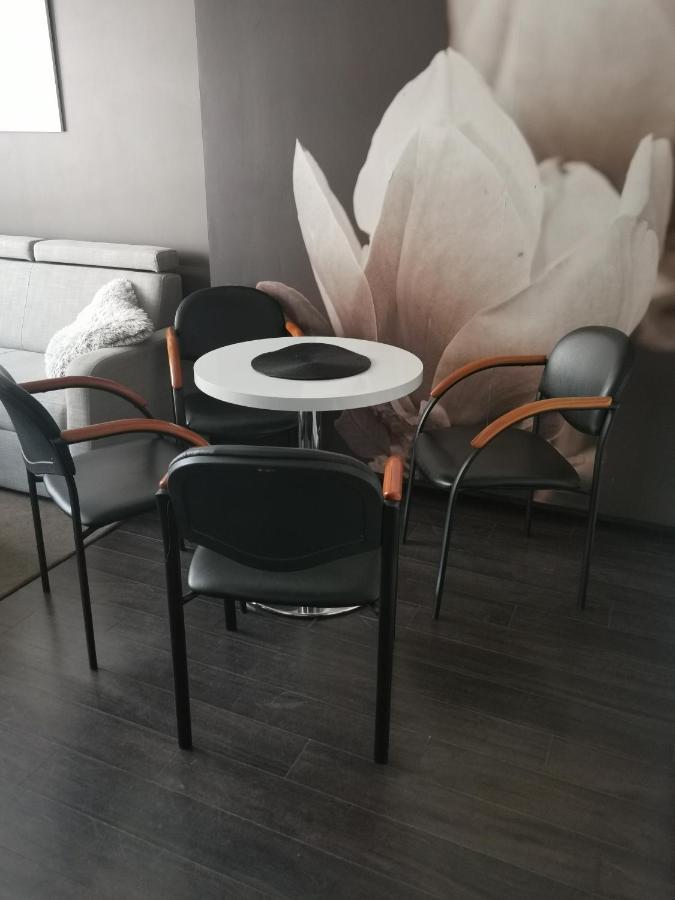 Prywatny Salon Z Aneksem Kuchennym I Sypialnia W Diva Appartamento