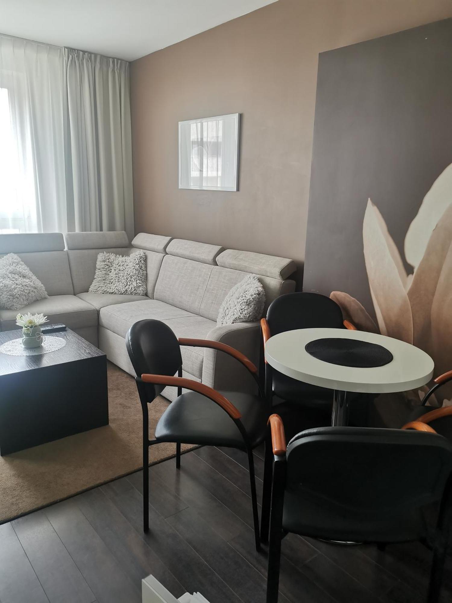 Appartamento Prywatny Salon Z Aneksem Kuchennym I Sypialnia W Diva